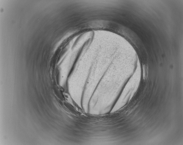 X0000068750723200605262115