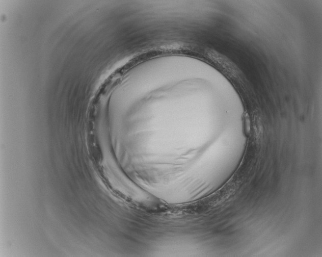 X0000068750728200605262115