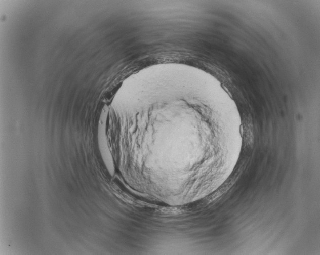 X0000068750766200605262116