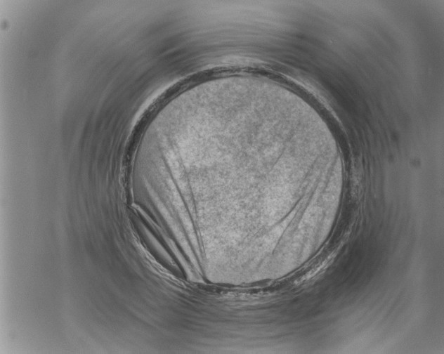 X0000068750783200605262115