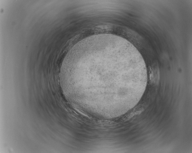 X0000068750819200605262114
