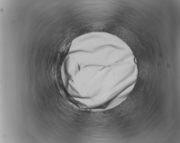 X0000068750866200605262114