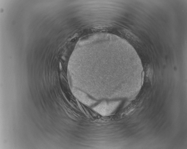 X0000068750868200605262114