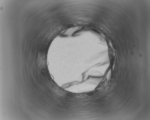X0000068750915200605262112
