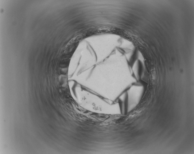 X0000068750916200605262112