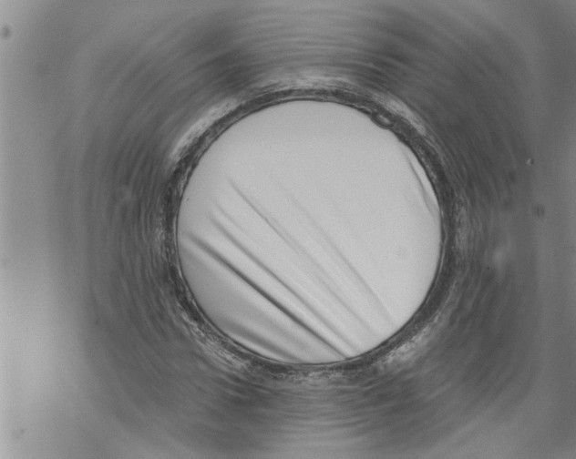X0000068750922200605262112