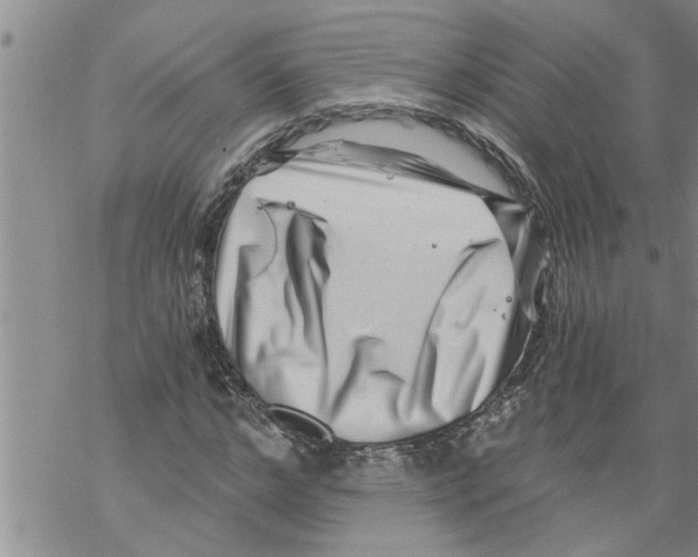 X0000068750968200605262112