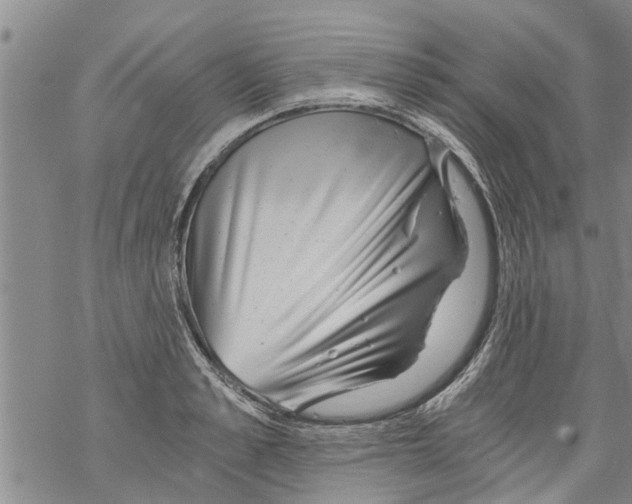 X0000068750989200605262112