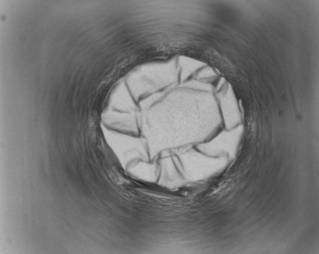 X0000068751012200605262111