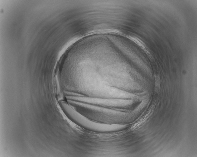 X0000068751046200605262111