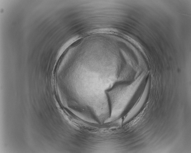 X0000068751050200605262111