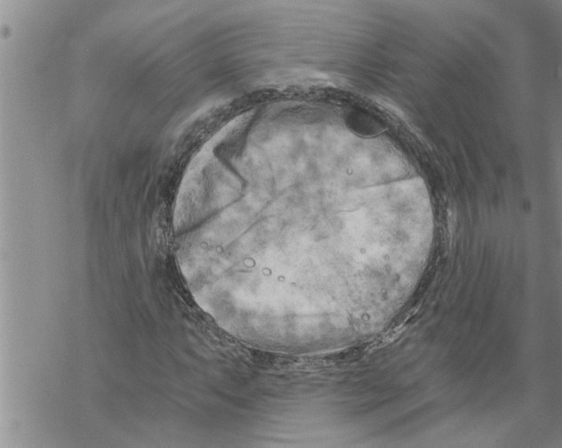 X0000068751063200605262110