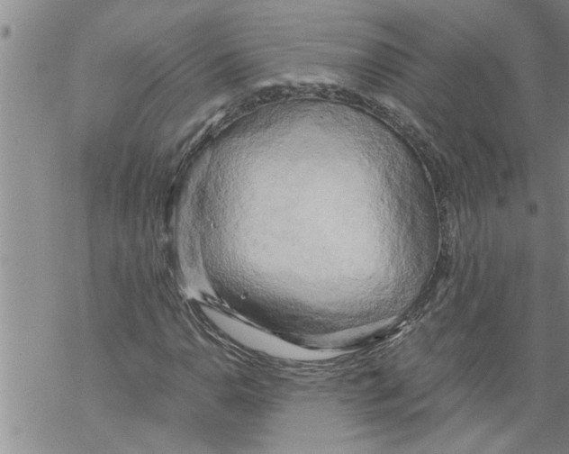 X0000068751110200605262109