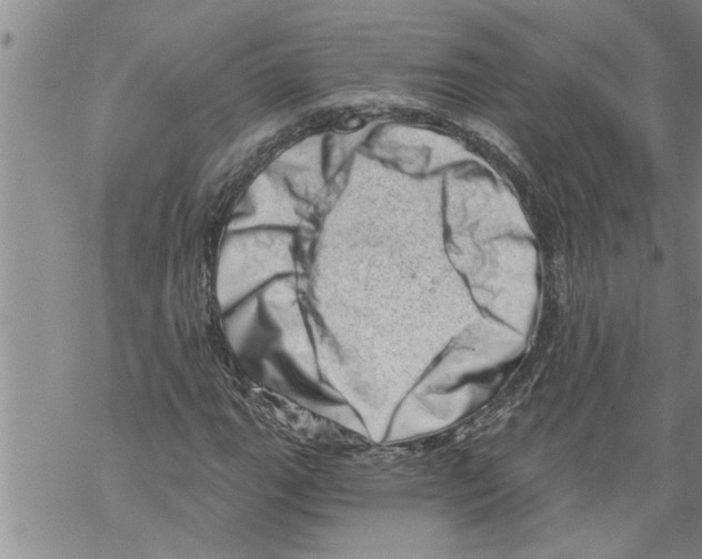 X0000068751111200605262109