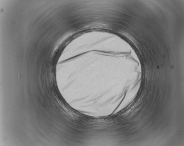 X0000068751115200605262109