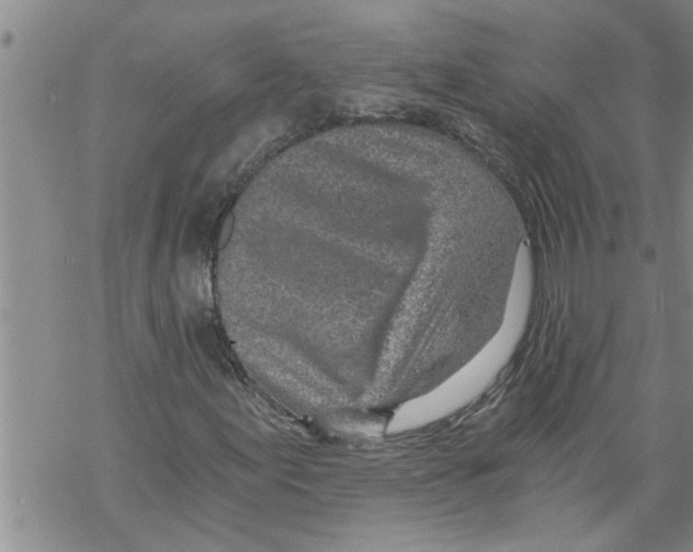 X0000068751155200605262109