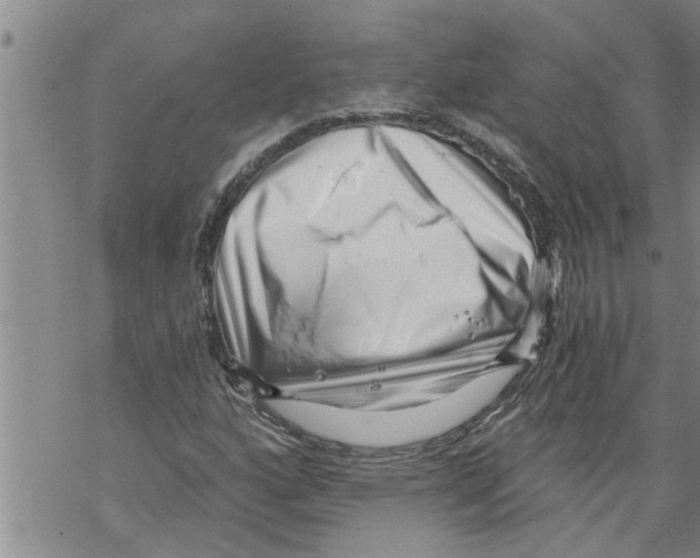X0000068751160200605262109