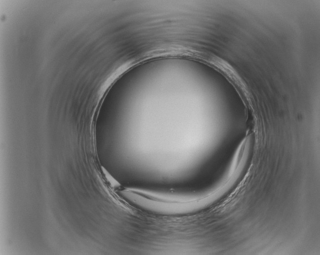 X0000068751242200605262108