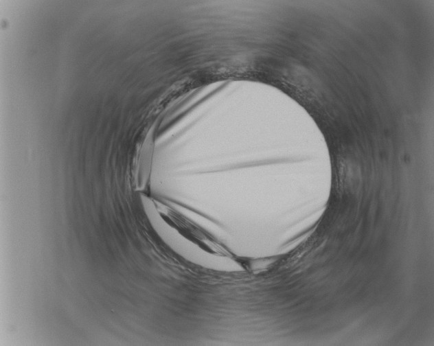 X0000068751250200605262107
