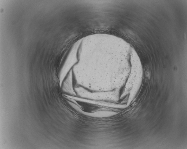 X0000068751252200605262107