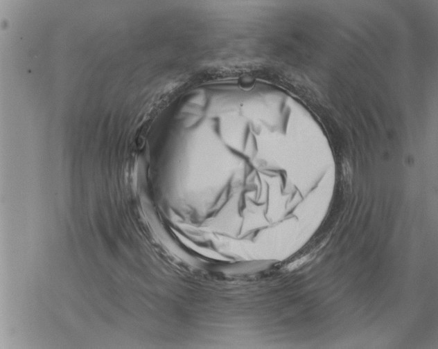 X0000068751300200605262106