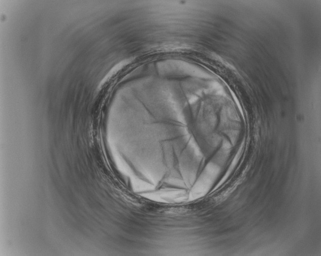 X0000068751306200605262106