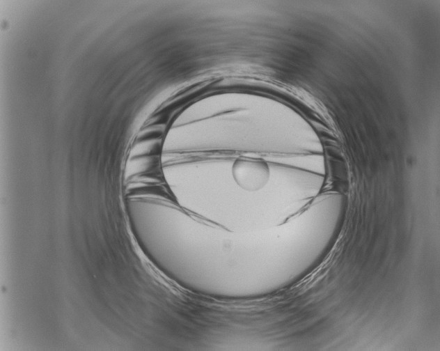 X0000068751342200605262107