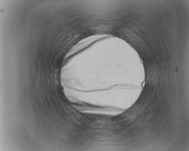 X0000068751346200605262106