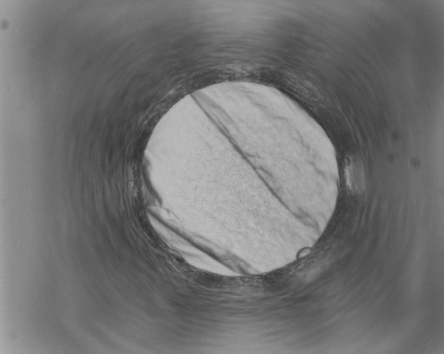 X0000068751347200605262106