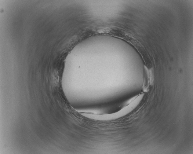 X0000068751443200605262104