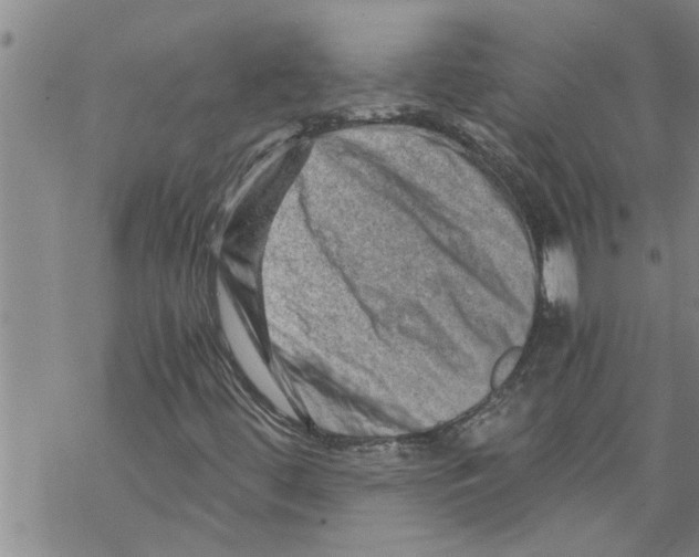 X0000068751444200605262104