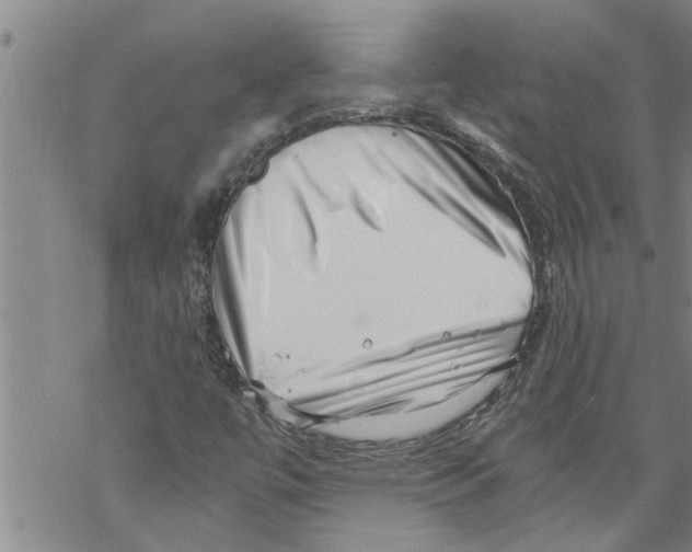 X0000068751447200605262104
