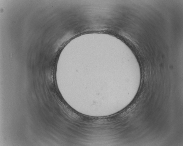X0000068751451200605262104