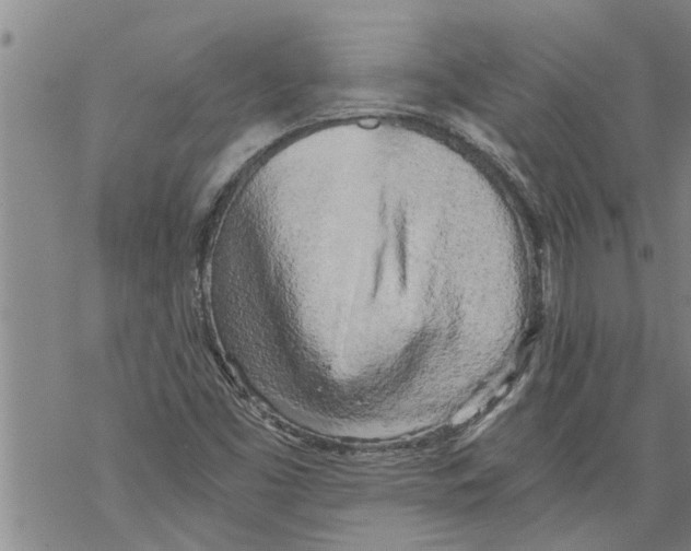 X0000068751453200605262104