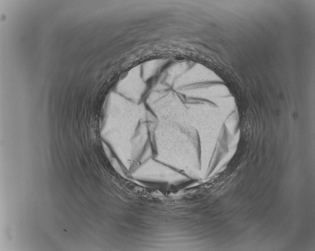 X0000068751490200605262103