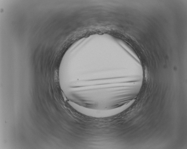 X0000068751492200605262103