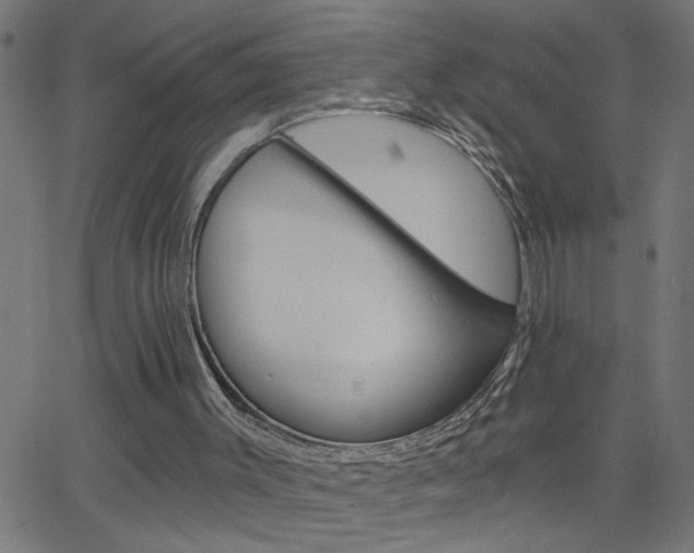 X0000068760003200604281004