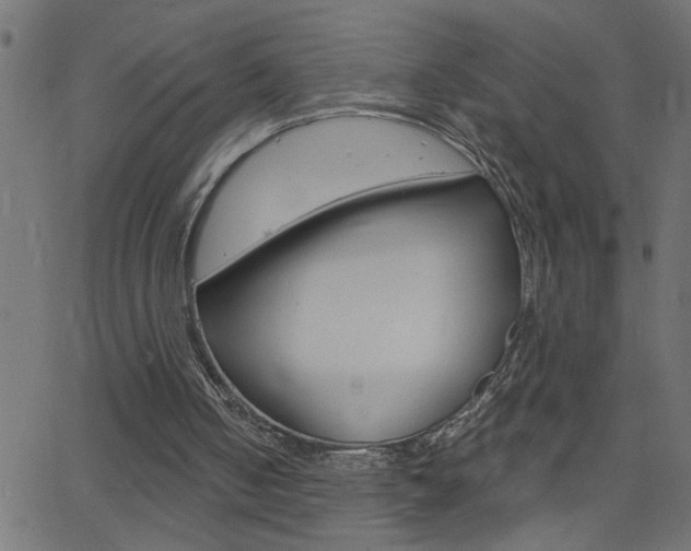 X0000068760050200604281002