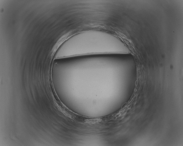 X0000068760051200604281002