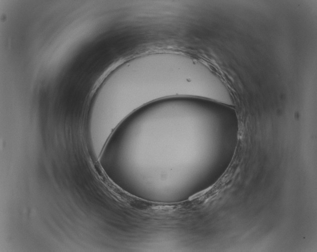 X0000068760052200604281002