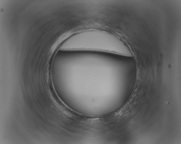X0000068760054200604281002