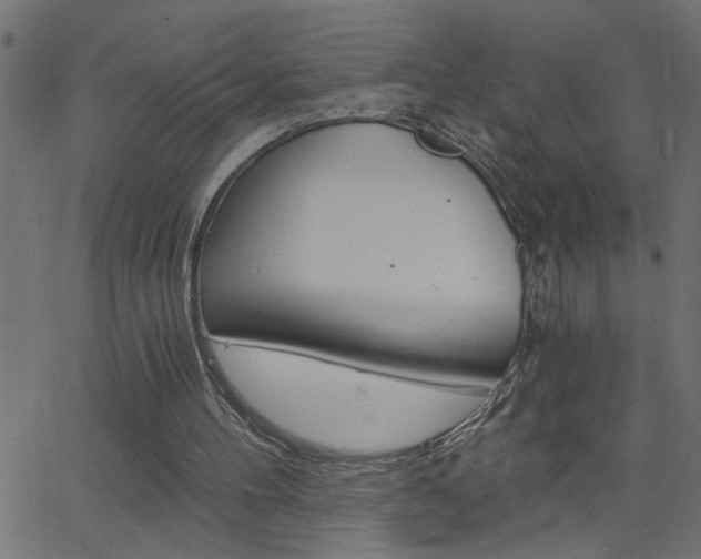 X0000068760100200604281002