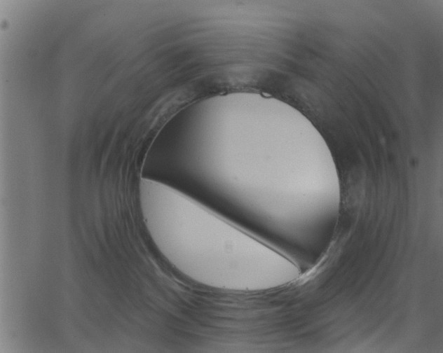 X0000068760140200604281002