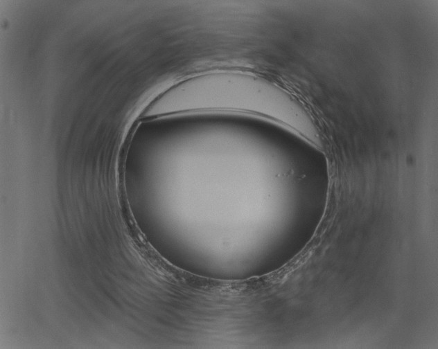 X0000068760148200604281001