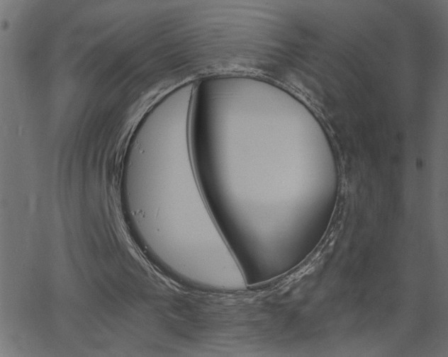 X0000068760193200604281001