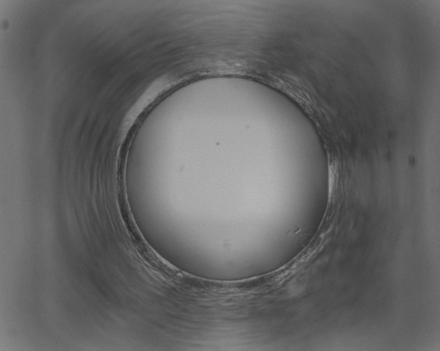 X0000068760195200604281001