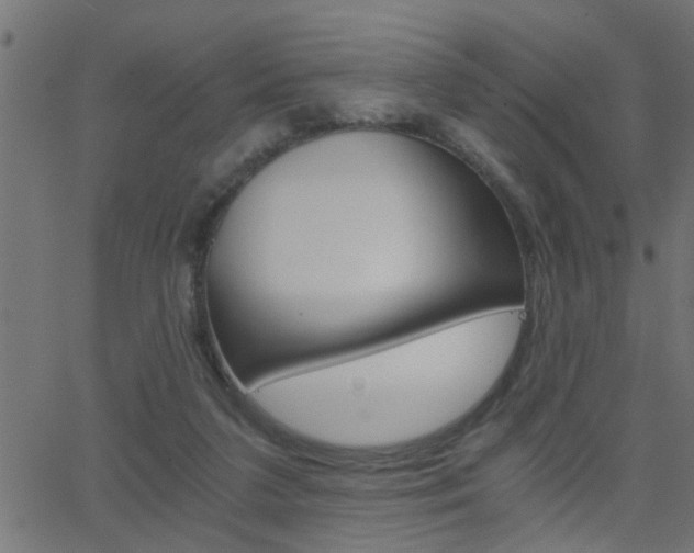 X0000068760211200604281000