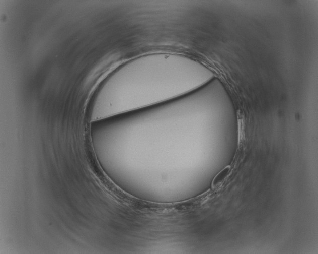 X0000068760243200604280959