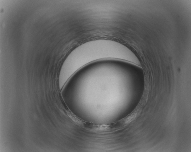 X0000068760288200604281000