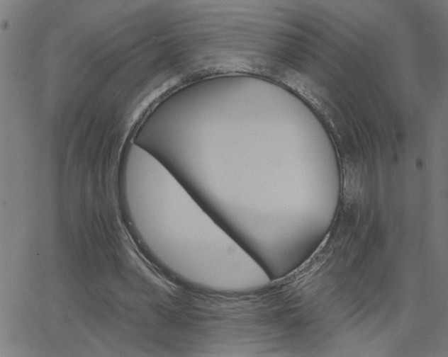 X0000068760390200604280957